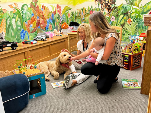 Two adults, one baby and a dog sit in a room.
